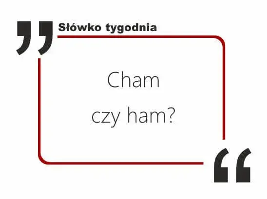 Poprawna pisownia słowa cham - wszystkie zasady i odmiany w jednym miejscu