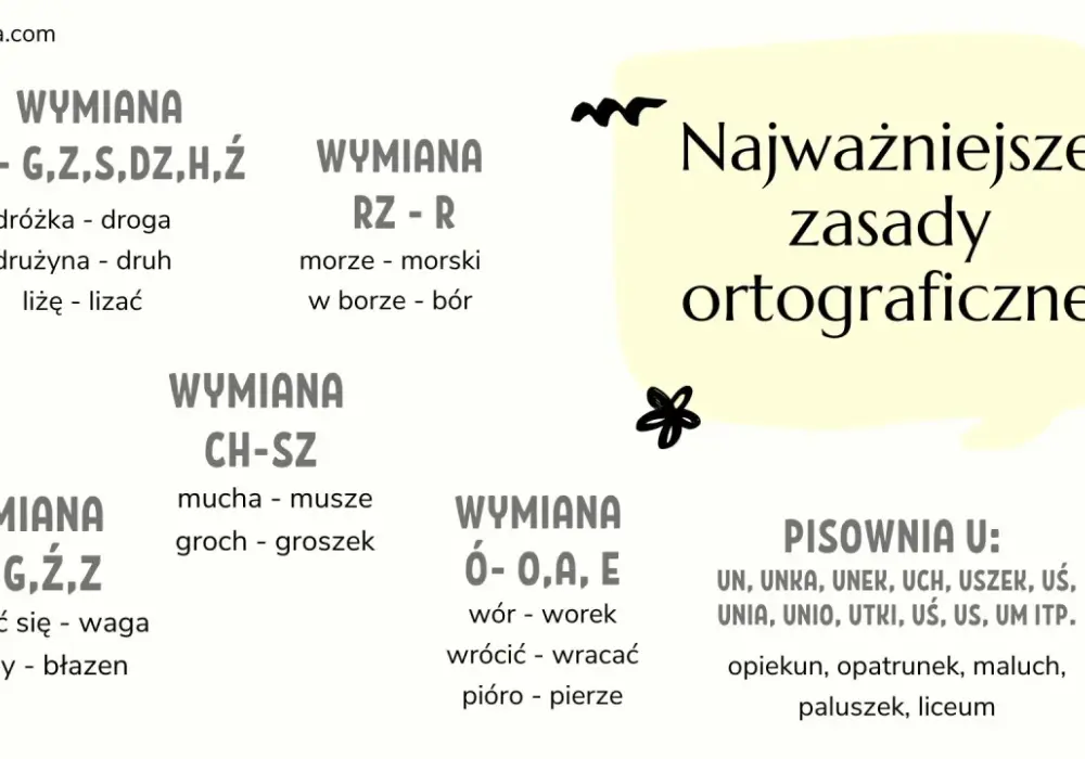 Jak się pisze która? Poznaj najczęstsze błędy i zasady użycia