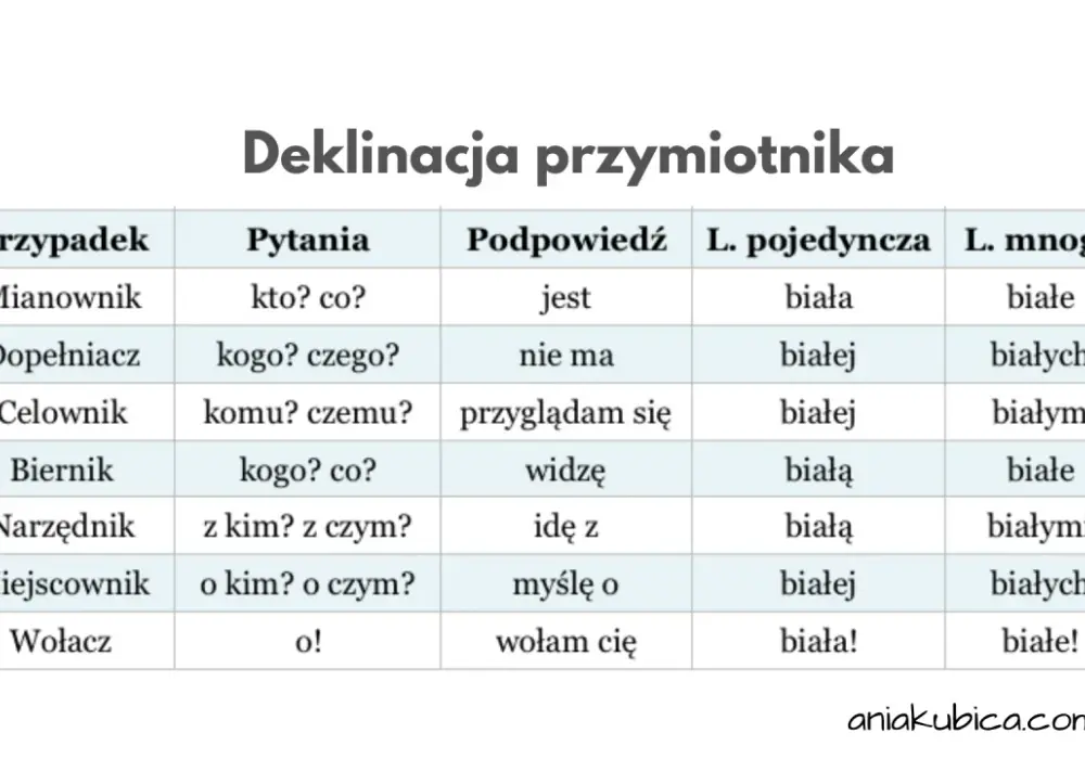 Dictum po polsku: znaczenie i kontekst prawniczy, które musisz znać