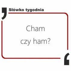 Poprawna pisownia słowa cham - wszystkie zasady i odmiany w jednym miejscu