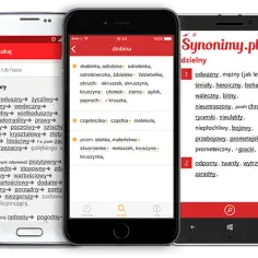 Słownik syno: Znajdź idealne synonimy i wzbogacaj swój język