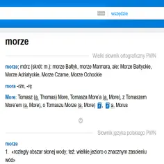 Słownik 100 tysięcy potrzebnych słów – poznaj jego niezwykłe możliwości