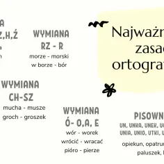 Prawidłowa pisownia nie ma - poznaj zasady ortografii i unikaj błędów