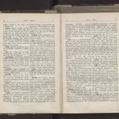 Słownik etymologiczny języka polskiego online - poznaj pochodzenie słów