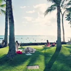 Aloha – magiczne hawajskie pozdrowienie, które pokochasz w mgnieniu oka