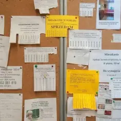 Jak napisać świetne ogłoszenie o wynajem mieszkania bez wpadek i strat