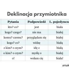 Dictum po polsku: znaczenie i kontekst prawniczy, które musisz znać