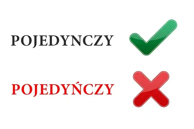 Zdjęcie Prawidłowa pisownia nie ma - poznaj zasady ortografii i unikaj błędów