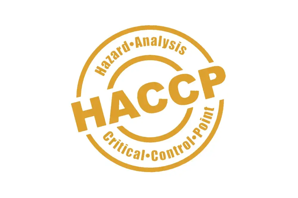 Zdjęcie HACCP co to znaczy po polsku i dlaczego jest kluczowe dla bezpieczeństwa żywności