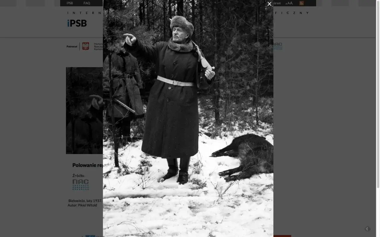 Zdjęcie Polski słownik biograficzny online - odkryj historie znanych Polaków