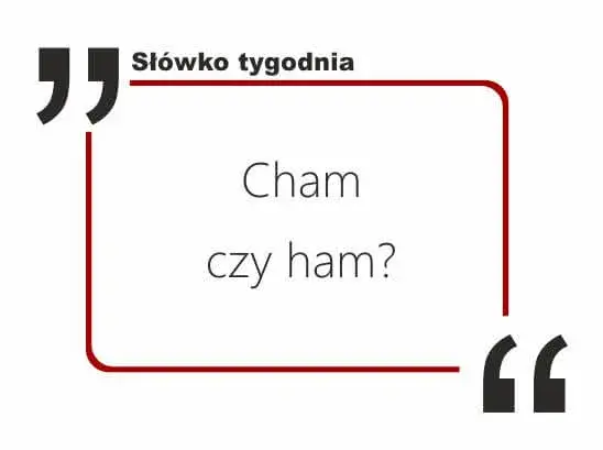 Poprawna pisownia słowa cham - wszystkie zasady i odmiany w jednym miejscu