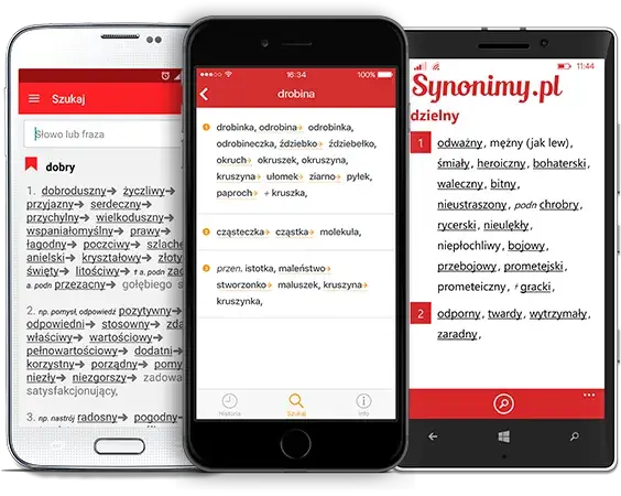 Słownik syno: Znajdź idealne synonimy i wzbogacaj swój język