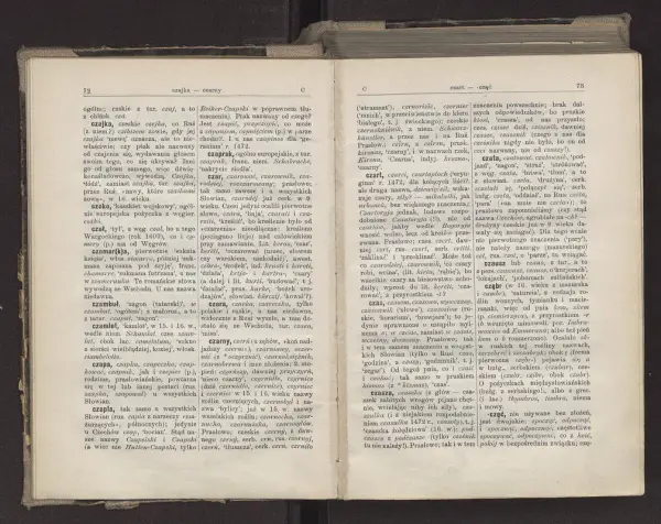 Słownik etymologiczny języka polskiego online - poznaj pochodzenie słów