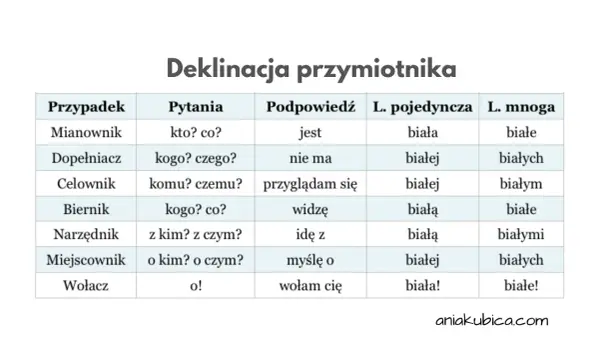 Dictum po polsku: znaczenie i kontekst prawniczy, które musisz znać
